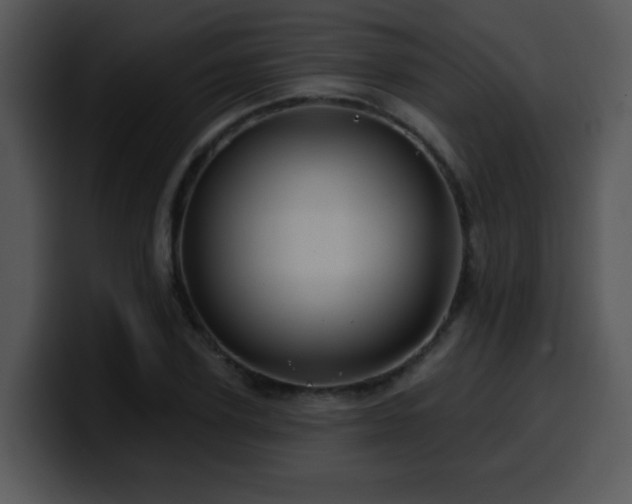 X0000100390931200806061251