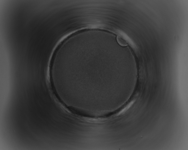 X0000100390932200806061251