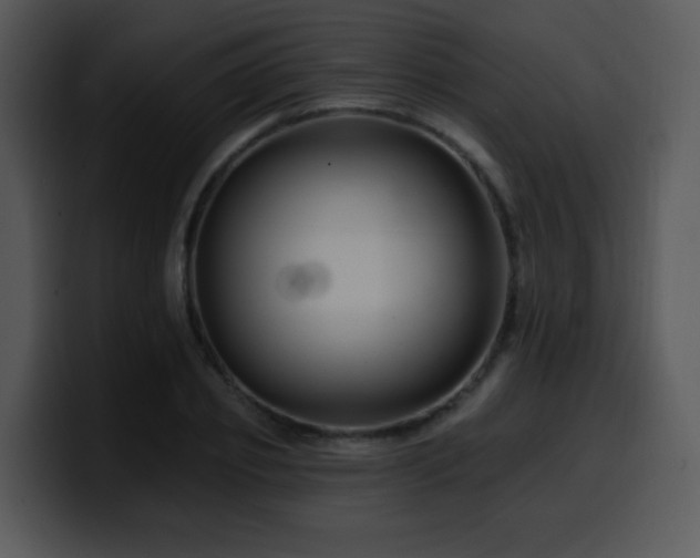 X0000100390933200806061251