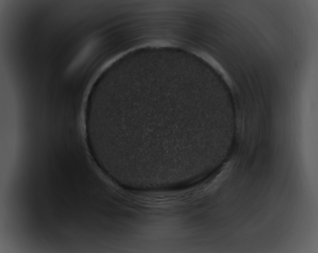 X0000100390935200806061251