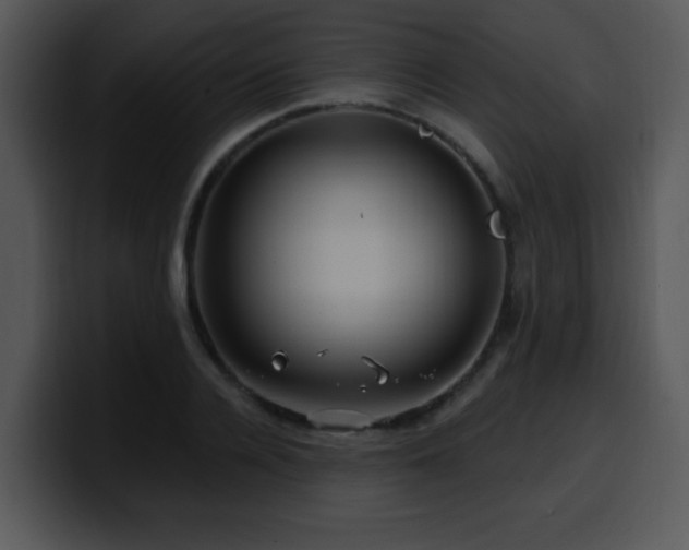 X0000100390936200806061251