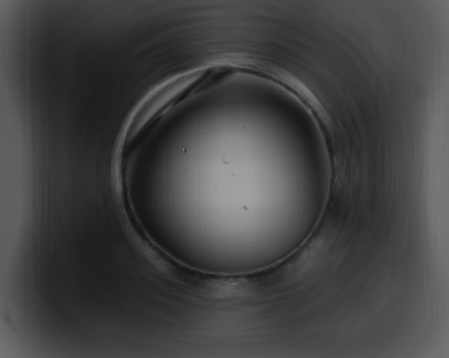 X0000100390939200806061251