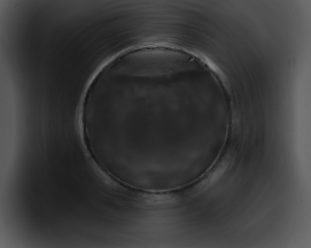 X0000100390941200806061251