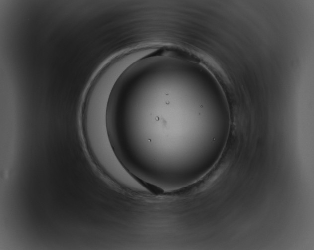 X0000100390942200806061251