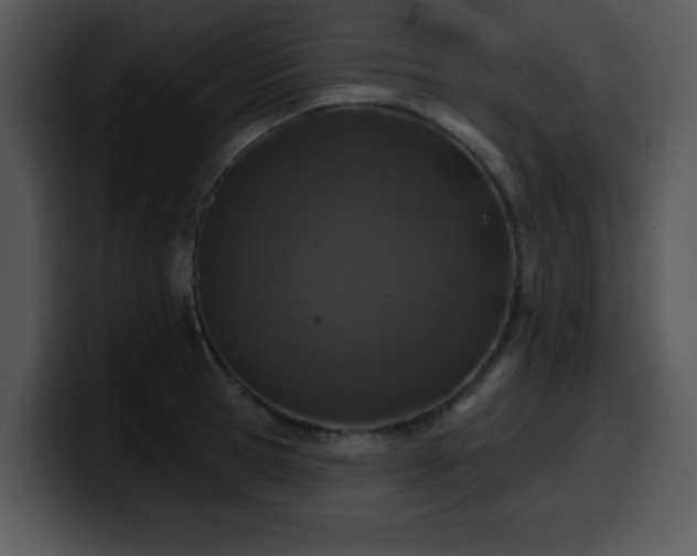 X0000100390945200806061251
