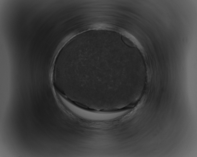 X0000100390946200806061251