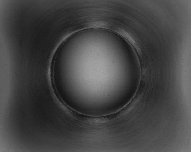 X0000100390947200806061251