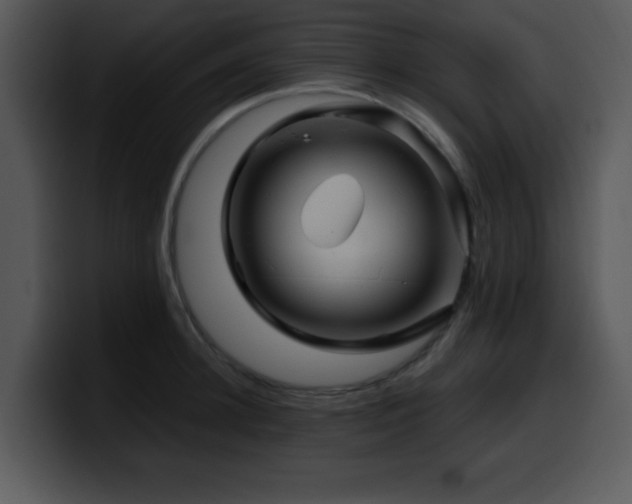 X0000100390948200806061251