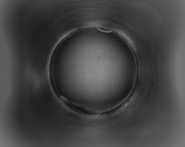 X0000100390949200806061251