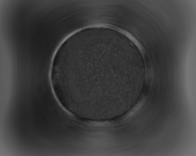 X0000100390951200806061251