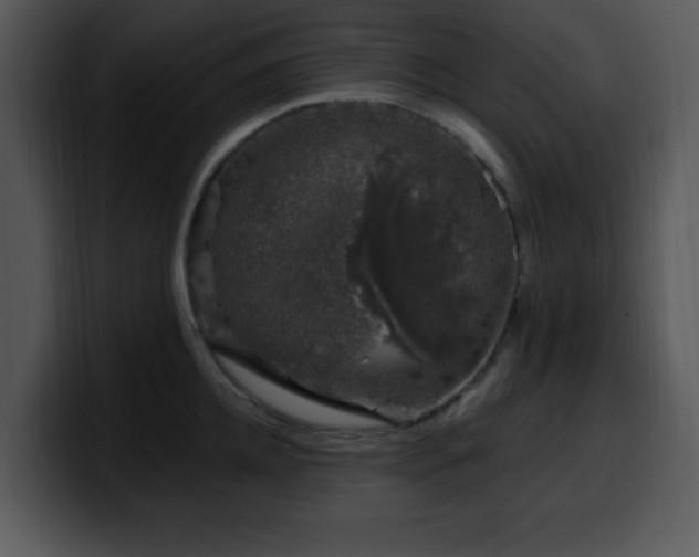 X0000100390952200806061251