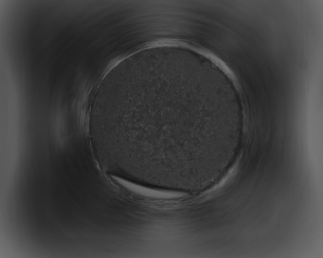X0000100390953200806061251