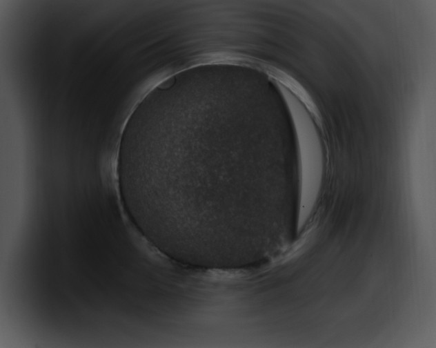X0000100390954200806061251