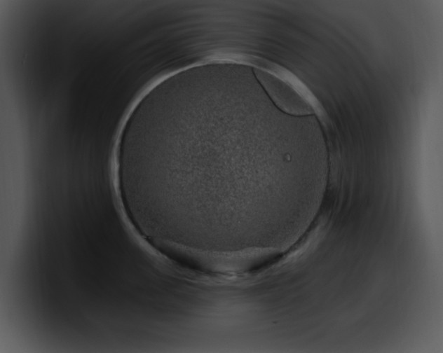 X0000100390955200806061251