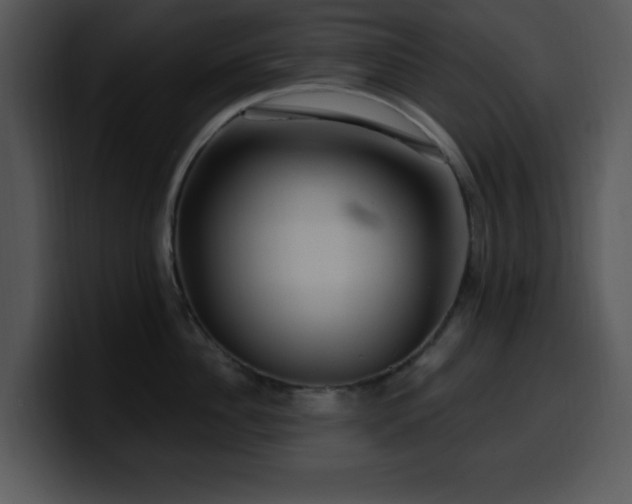 X0000100390956200806061251