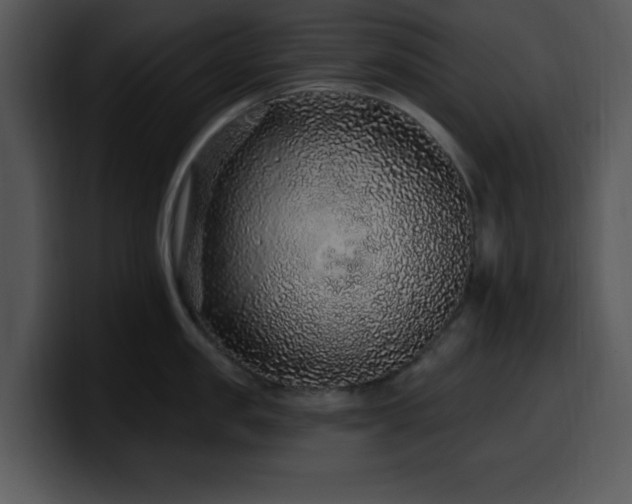 X0000100390957200806061251