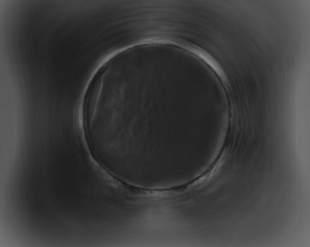 X0000100390958200806061251