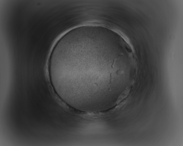 X0000100390960200806061251