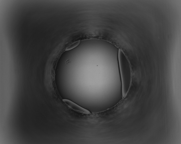 X0000100390961200806061251