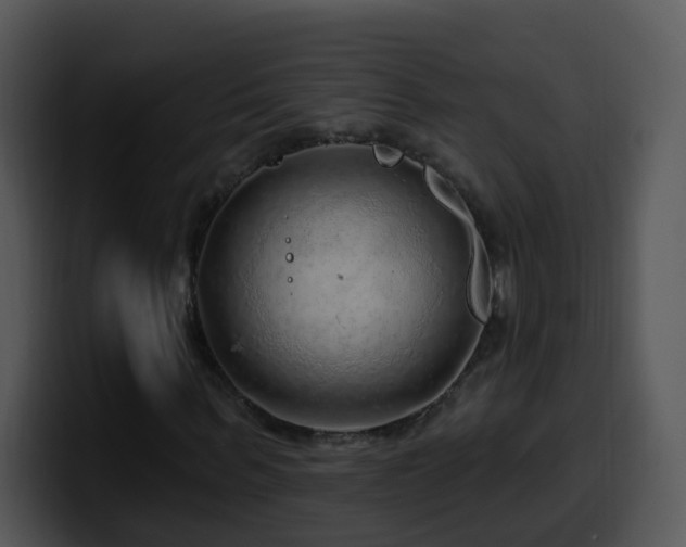 X0000100390963200806061251