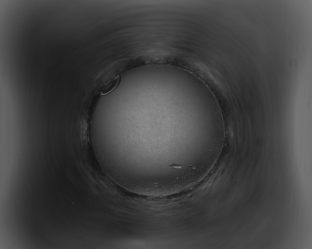X0000100390964200806061251