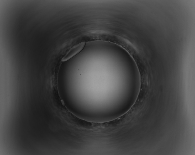 X0000100390965200806061251