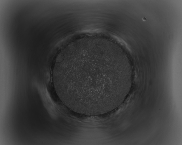 X0000100390966200806061251
