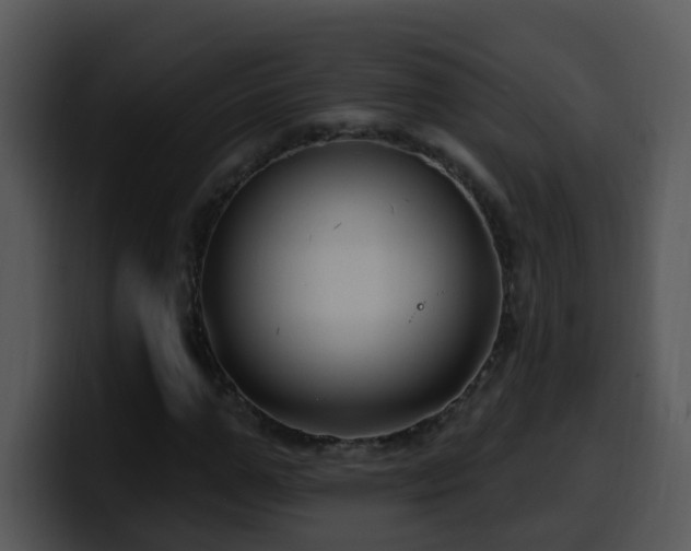 X0000100390967200806061251