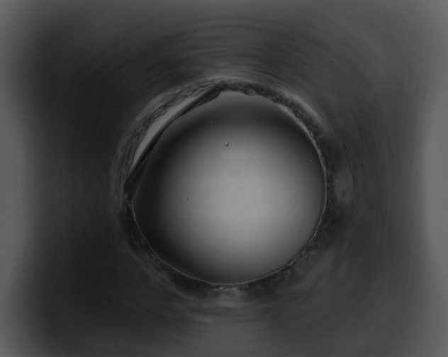 X0000100390968200806061251