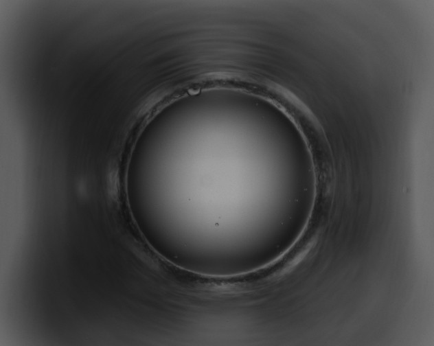 X0000100390969200806061251