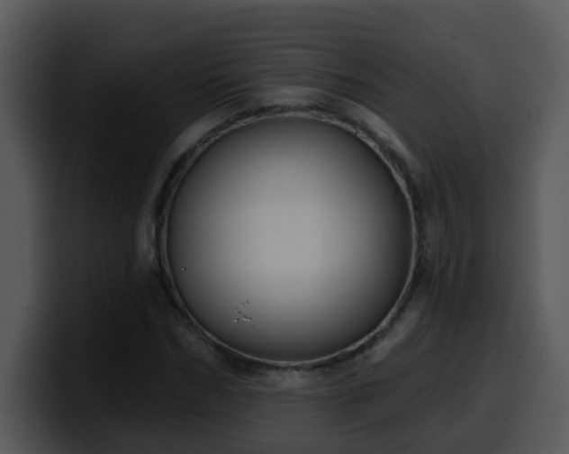 X0000100390970200806061251