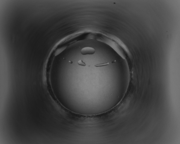 X0000100390972200806061251