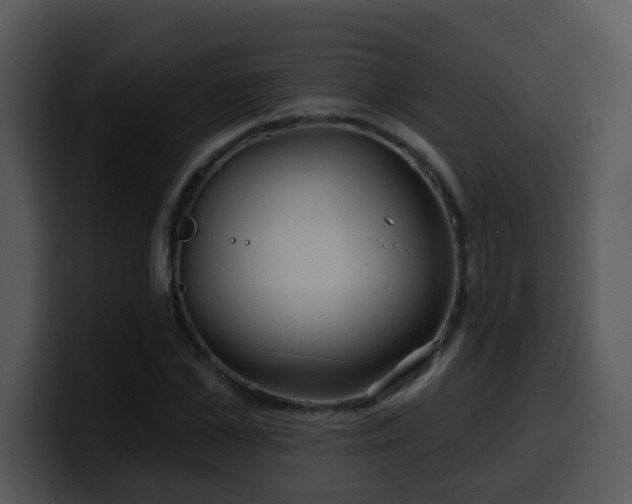 X0000100390973200806061250