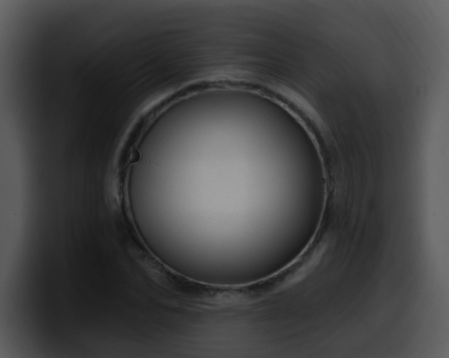 X0000100390974200806061250