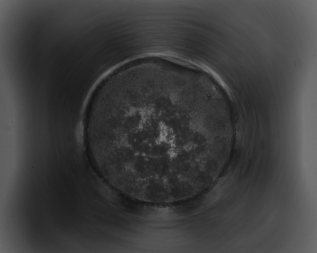 X0000100390975200806061250