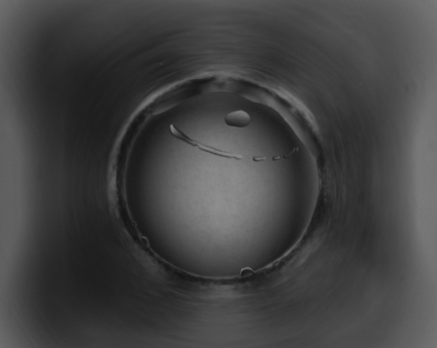 X0000100390976200806061250