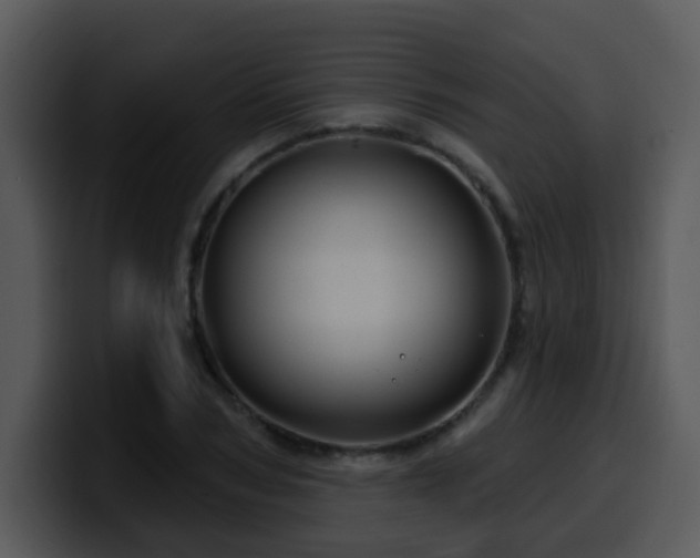 X0000100390978200806061250