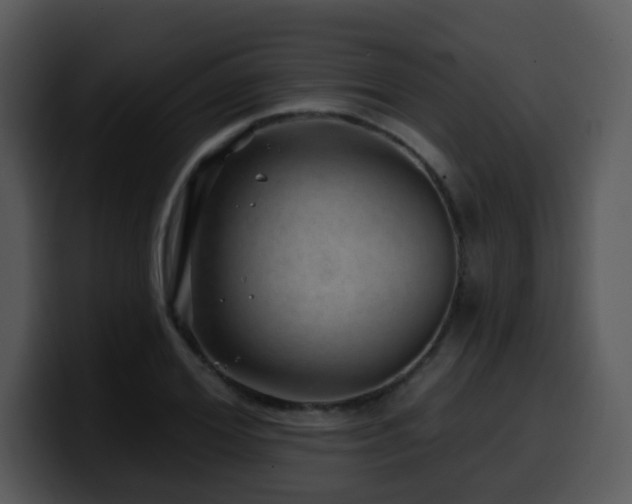 X0000100390980200806061250