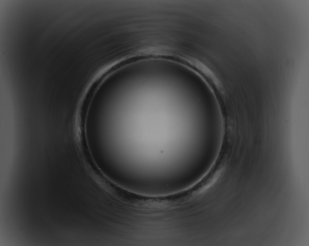 X0000100390981200806061250
