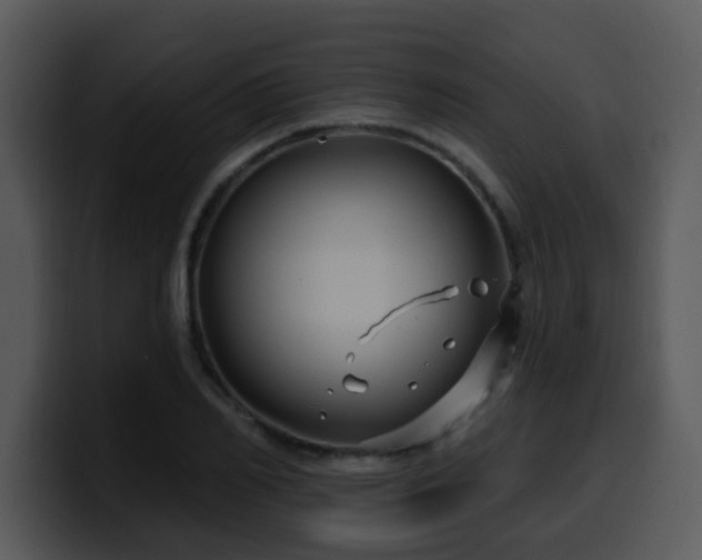 X0000100390982200806061250