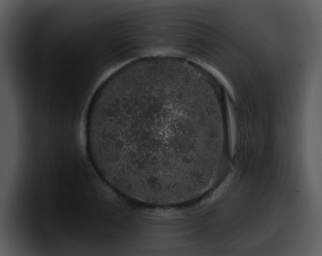 X0000100390983200806061250