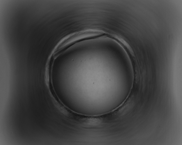 X0000100390984200806061250