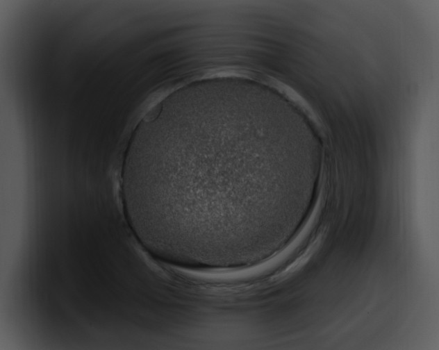 X0000100390985200806061250