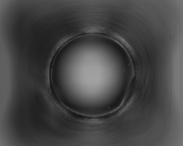 X0000100390986200806061250