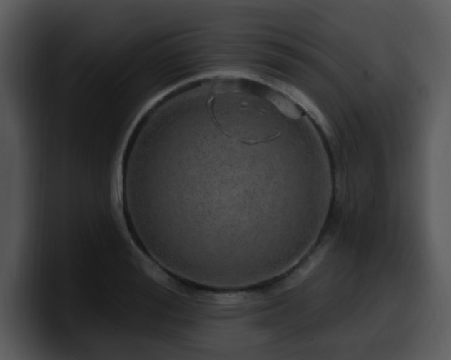X0000100390988200806061250