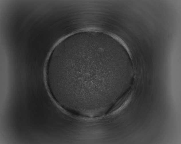 X0000100390989200806061250