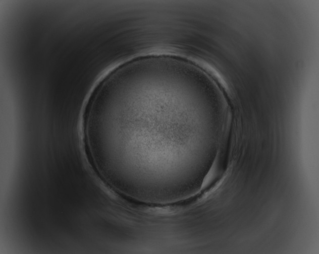 X0000100390990200806061250