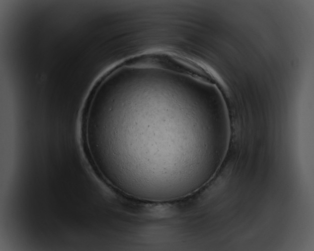 X0000100390991200806061250