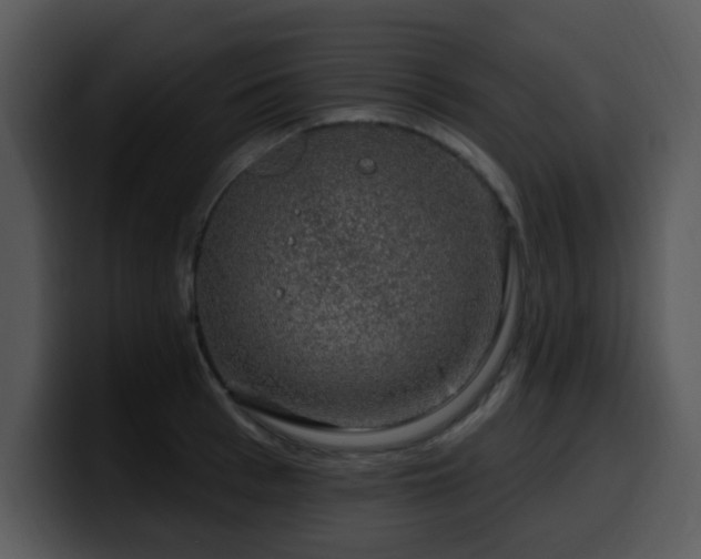 X0000100390993200806061250