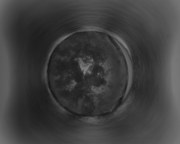 X0000100390995200806061250